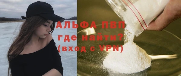 индика Богородицк